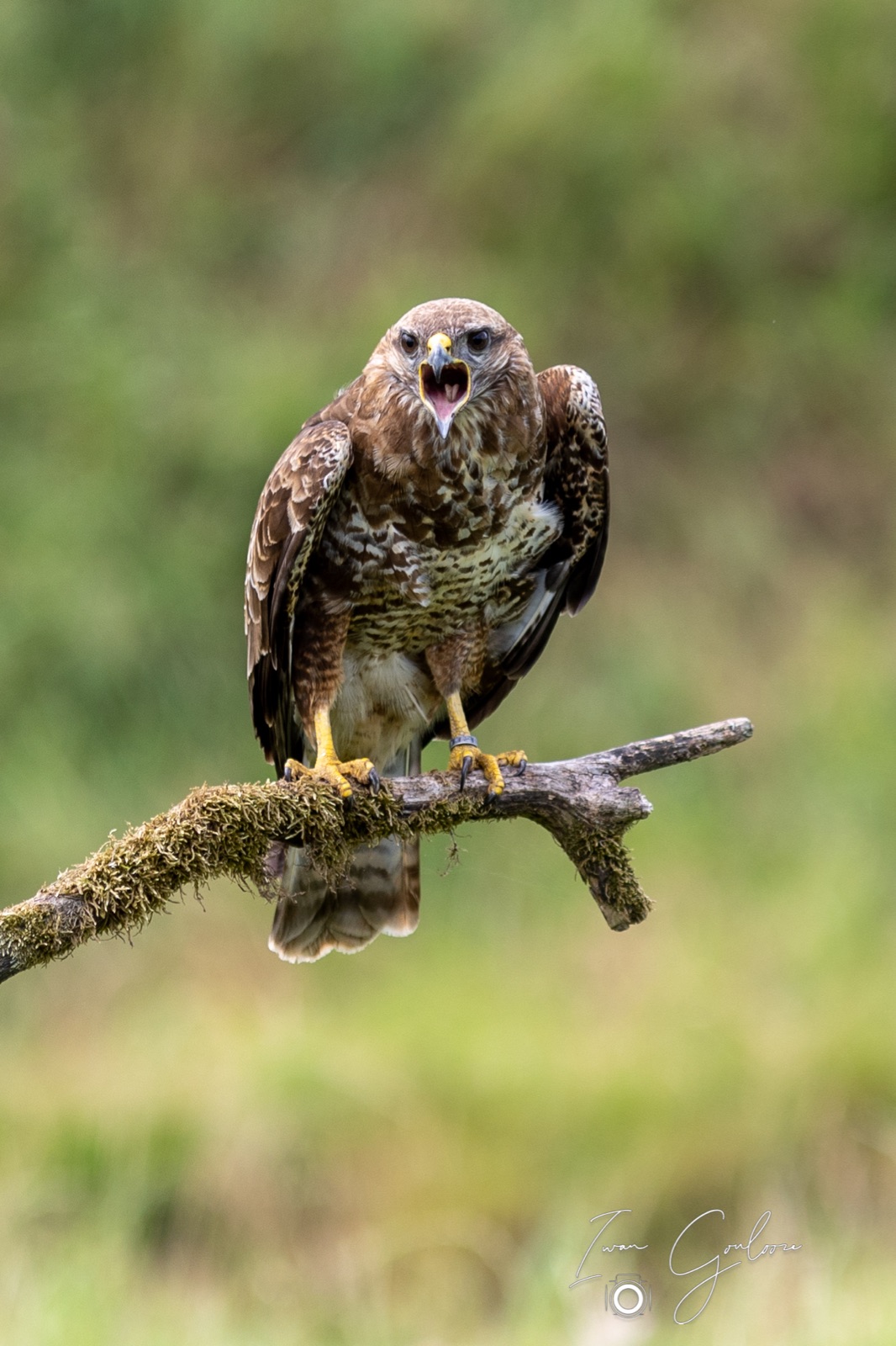 25 juni 2022 145303 1R2A0532